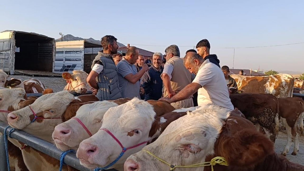 Foto - Bayram sonrası sakinlik Fiyatlar düştü almanın tam zamanı