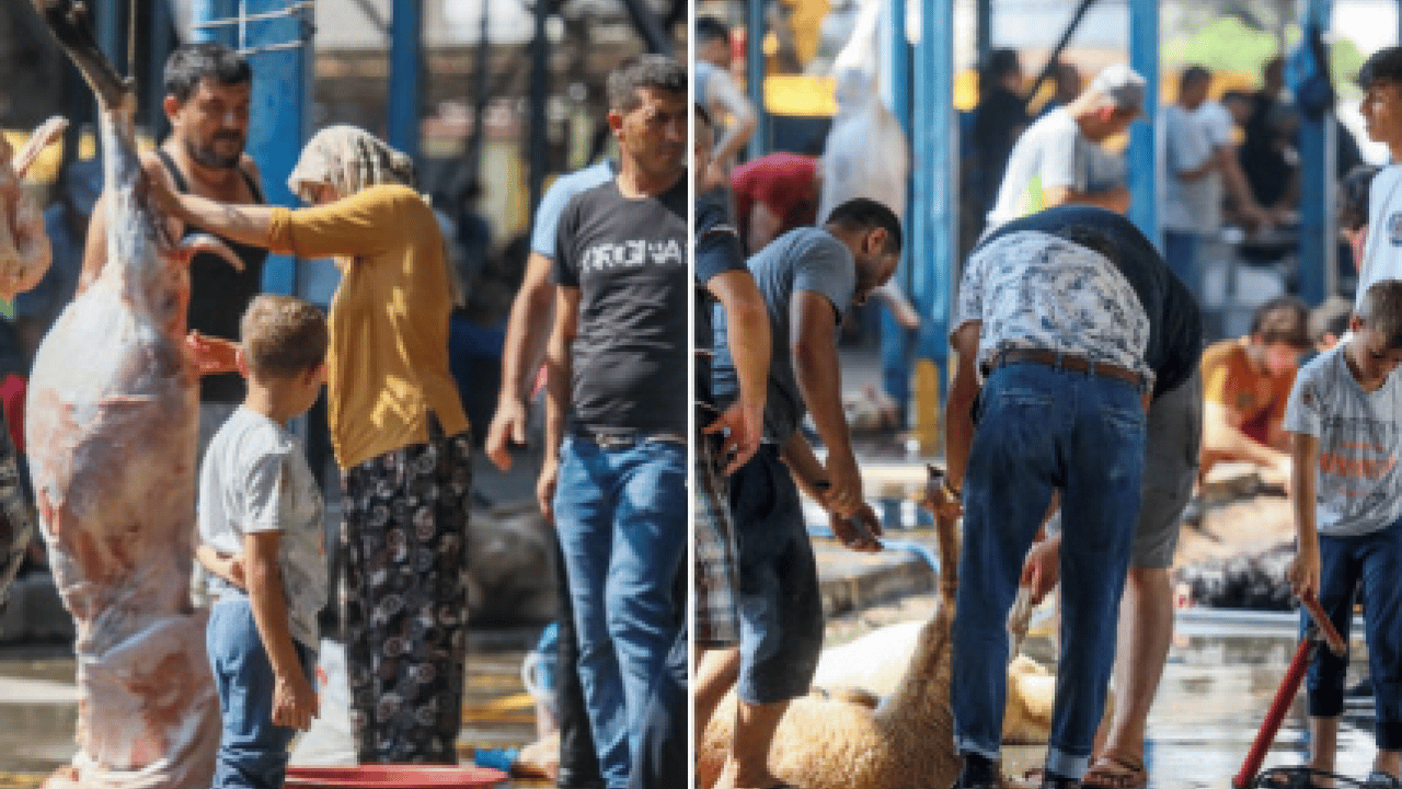 Foto - Bayramda denetim sıkılaşıyor: Sokakta kurban kesenler yandı! İhlale binlerce lira ceza kesilecek