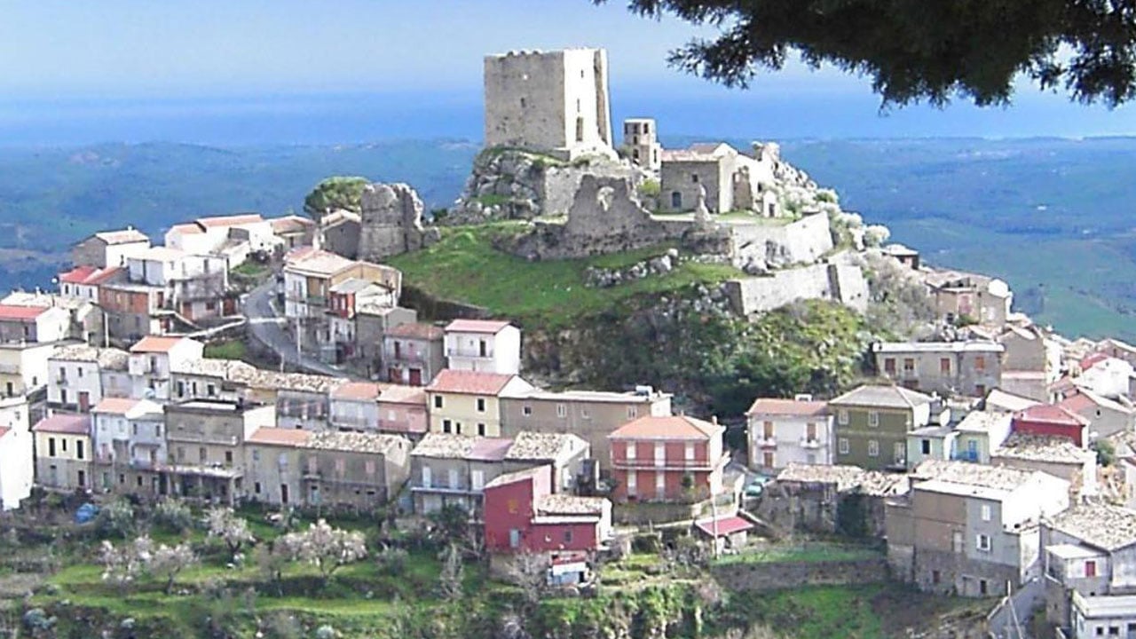 Foto - Bazen şaşırttı, bazen güldürdü! İşte yılın en tuhaf olayları