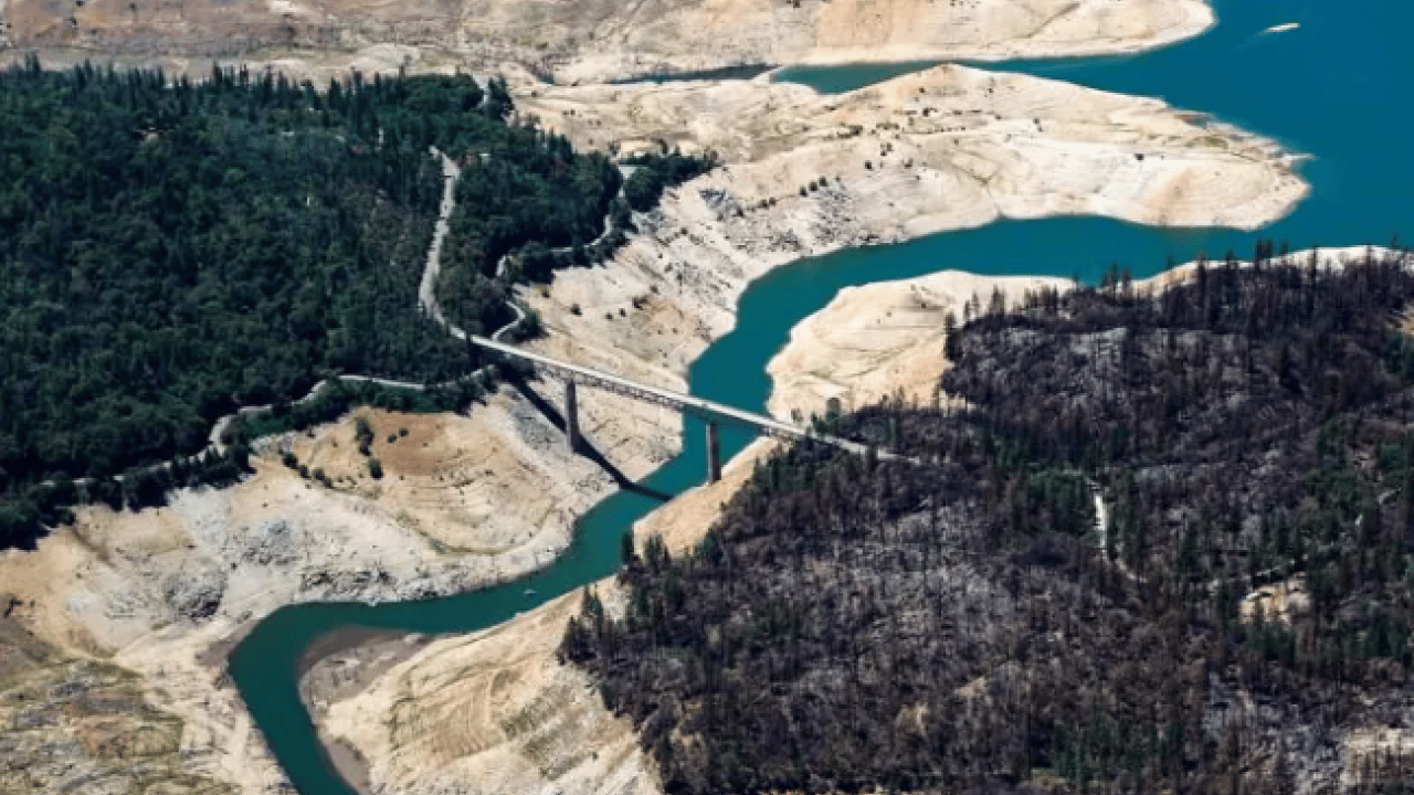 Bazıları susuzluktan kırılırken onlar sular altında kalacak! Listede Türkiye'de var!