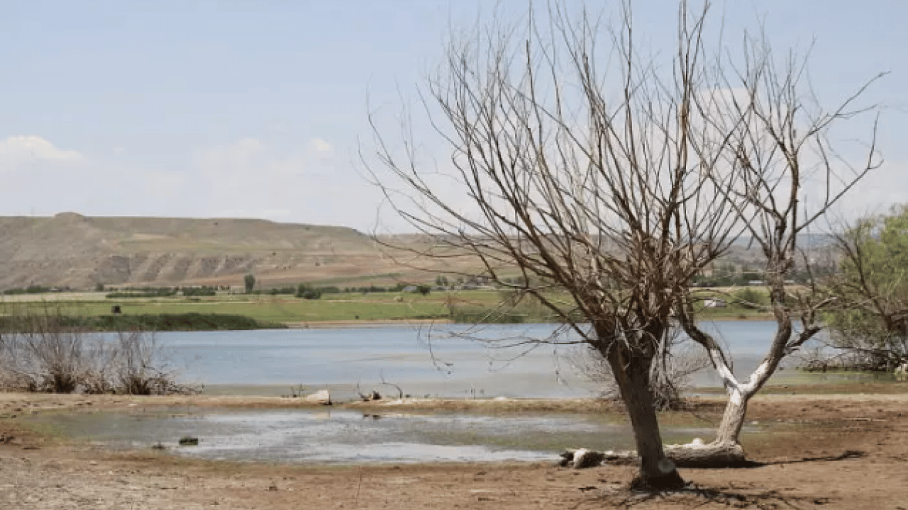 Foto - Bazıları susuzluktan kırılırken onlar sular altında kalacak! Listede Türkiye'de var!