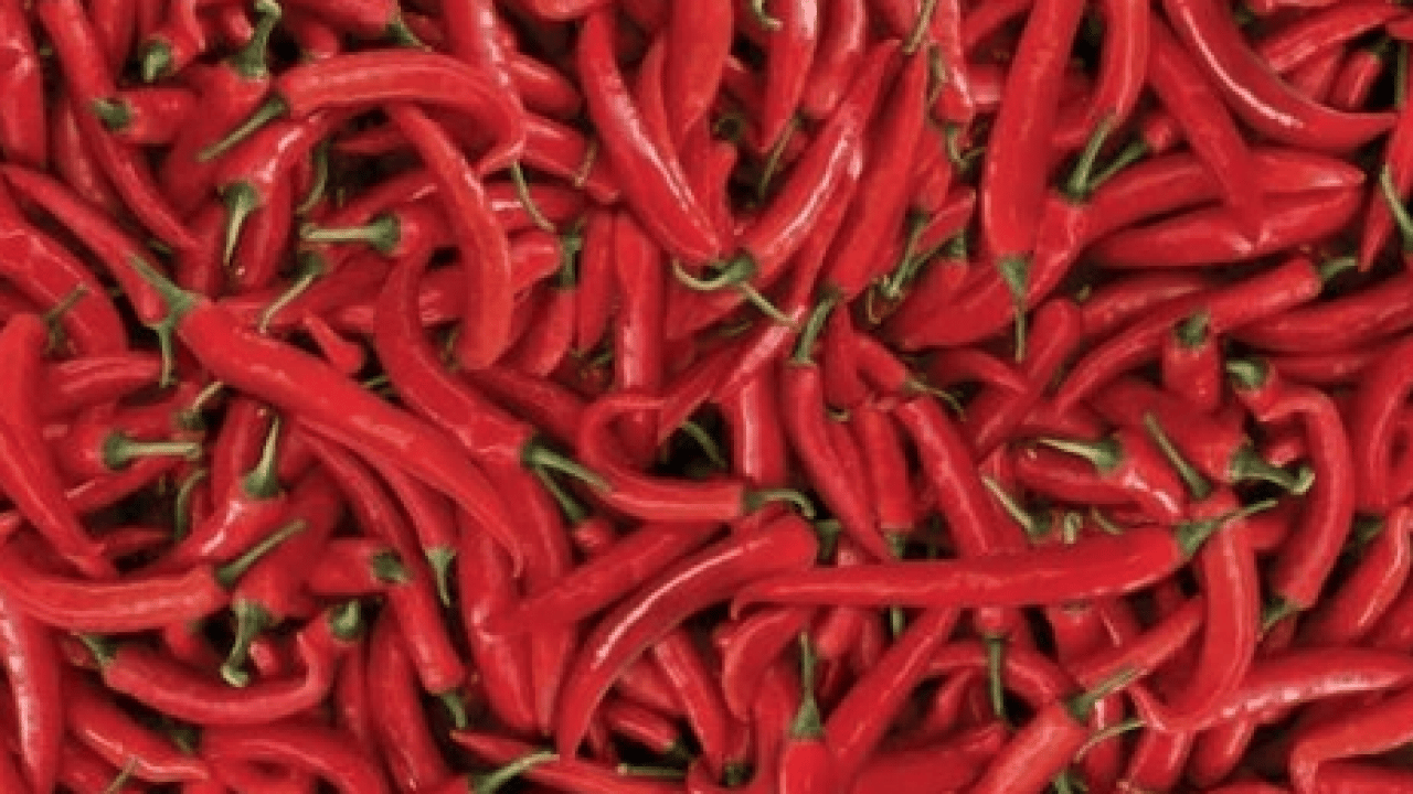 Foto - Bazılarına dert oldu ama öyle büyük faydaları var ki... Kırmızı biberin faydaları neler? 