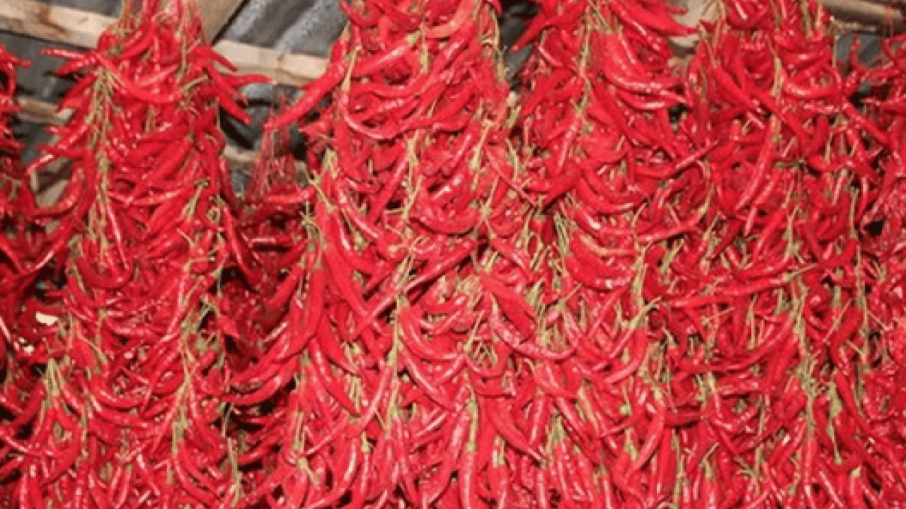 Foto - Bazılarına dert oldu ama öyle büyük faydaları var ki... Kırmızı biberin faydaları neler? 