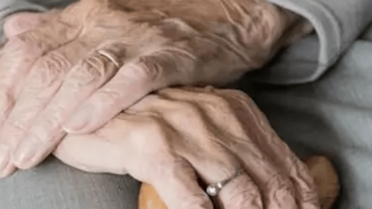 Foto - Bazılarına konforlu geliyor ama... Yalova'da emekli öğretmenin acı sonu!