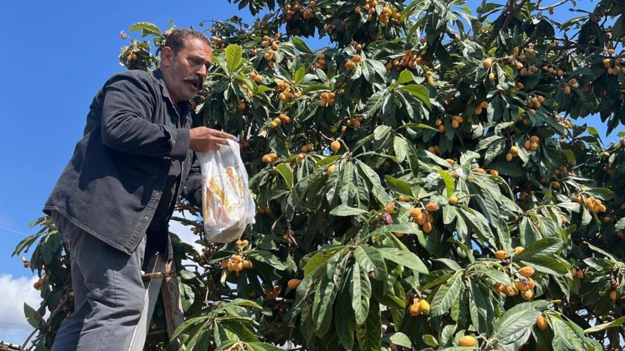 Foto - Bedava dağıttı poşeti alan bahçeye koştu
