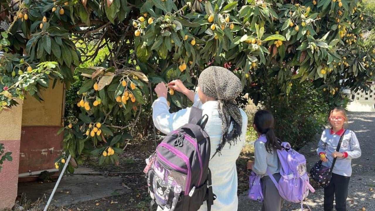 Foto - Bedava dağıttı poşeti alan bahçeye koştu