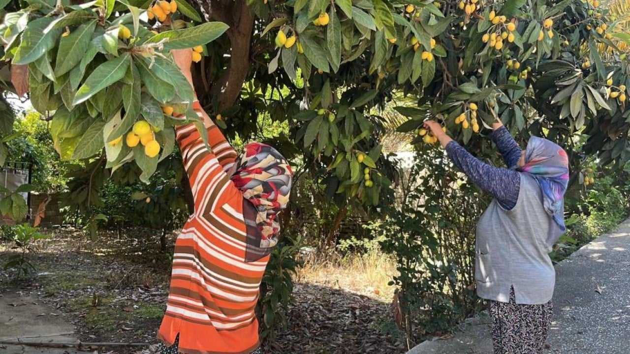 Bedava dağıttı poşeti alan bahçeye koştu