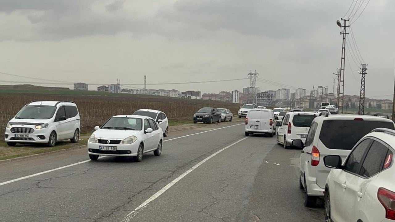 Foto - Bedavacıları yağmur da durduramadı Arabalarla gelip tarlayı silip süpürdüler