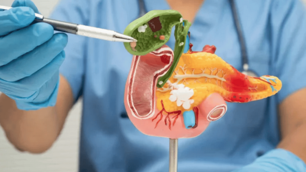 Foto - Beklenmedik gelişmelere hazır olmalısınız! Erken teşhisin anahtarı endoskopi ve kolonoskopi... Umut vadediyor