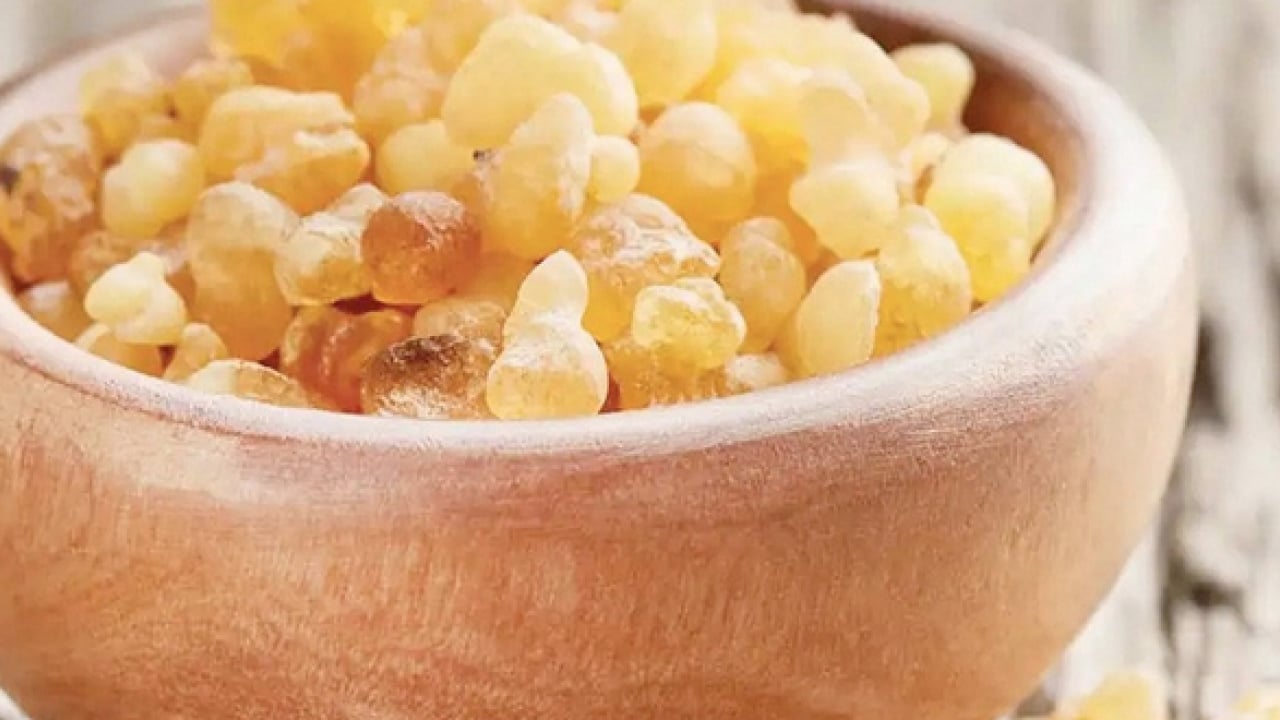 Foto - O nöbetlere nefes olacak... Sakız deyip geçmeyin! Kuru öksürüğün ilacı