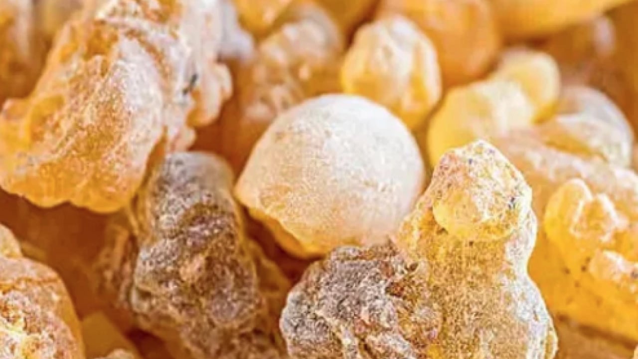 Foto - O nöbetlere nefes olacak... Sakız deyip geçmeyin! Kuru öksürüğün ilacı