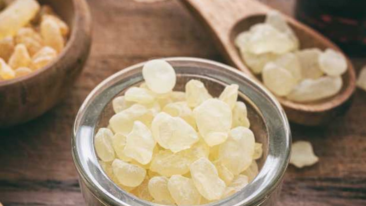 Foto - O nöbetlere nefes olacak... Sakız deyip geçmeyin! Kuru öksürüğün ilacı