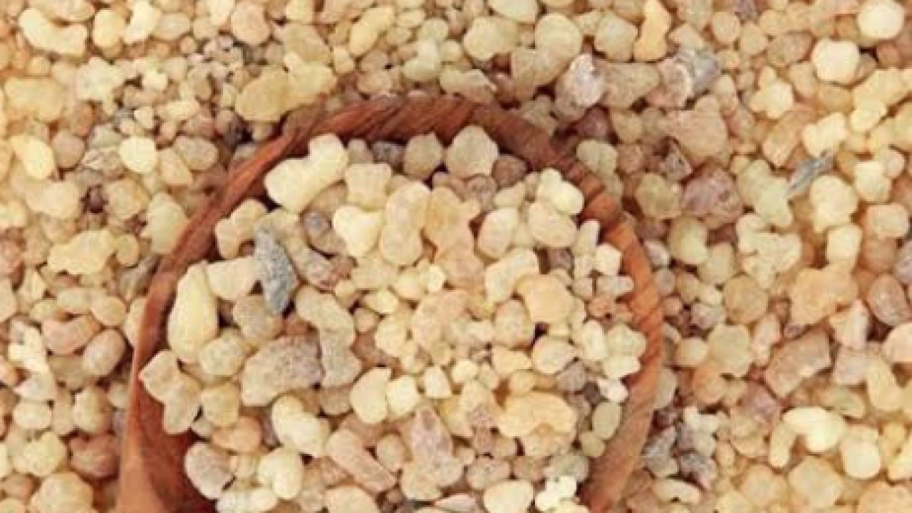 O nöbetlere nefes olacak... Sakız deyip geçmeyin! Kuru öksürüğün ilacı