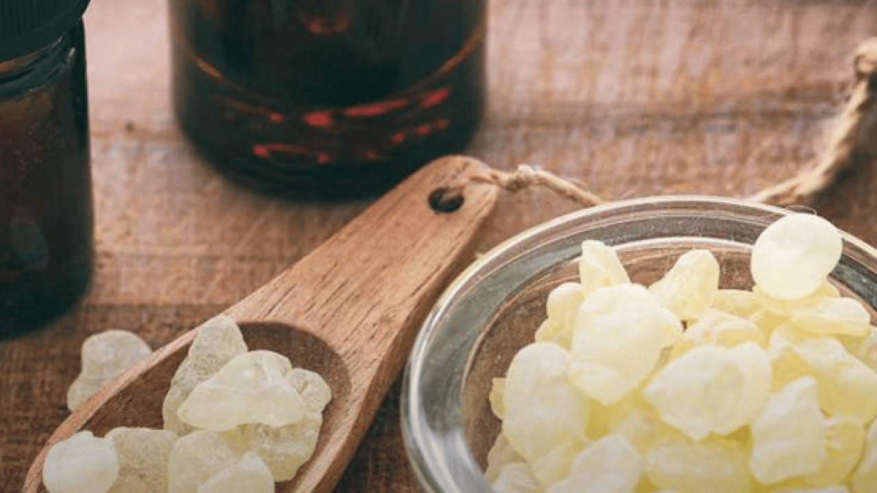 Foto - O nöbetlere nefes olacak... Sakız deyip geçmeyin! Kuru öksürüğün ilacı