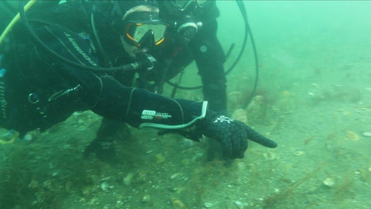 Foto - Belediye başkanı dalış yaptı, su altından müjdeyle çıktı