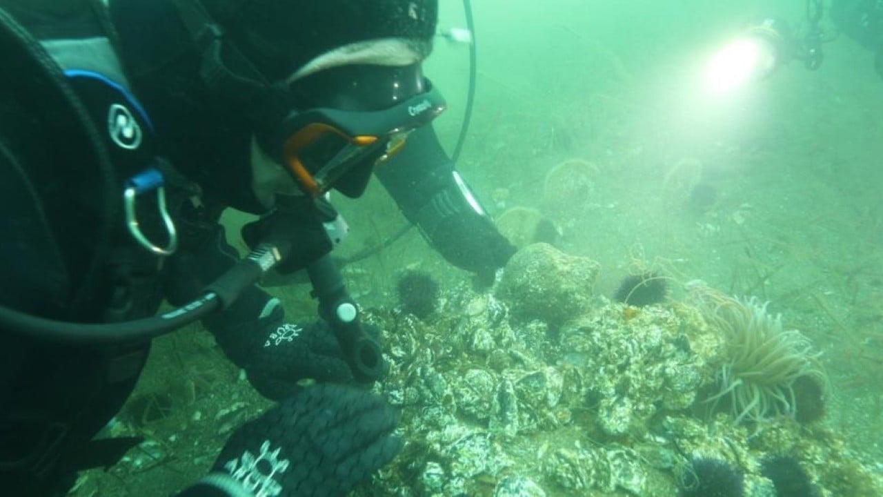 Foto - Belediye başkanı dalış yaptı, su altından müjdeyle çıktı