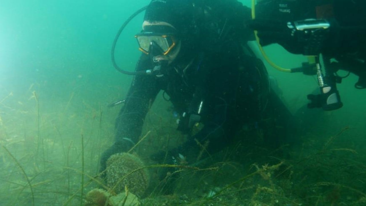 Belediye başkanı dalış yaptı, su altından müjdeyle çıktı