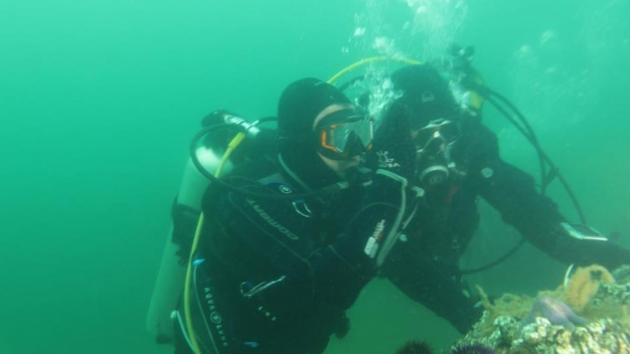 Foto - Belediye başkanı dalış yaptı, su altından müjdeyle çıktı