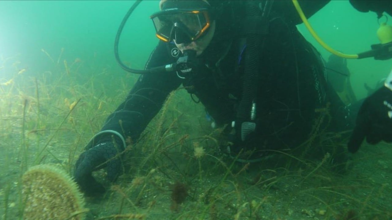 Foto - Belediye başkanı dalış yaptı, su altından müjdeyle çıktı