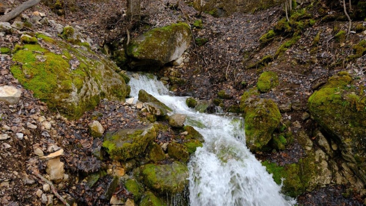 Foto - Belediye çeşmesi gibi bir akıyor bir kesiliyor
