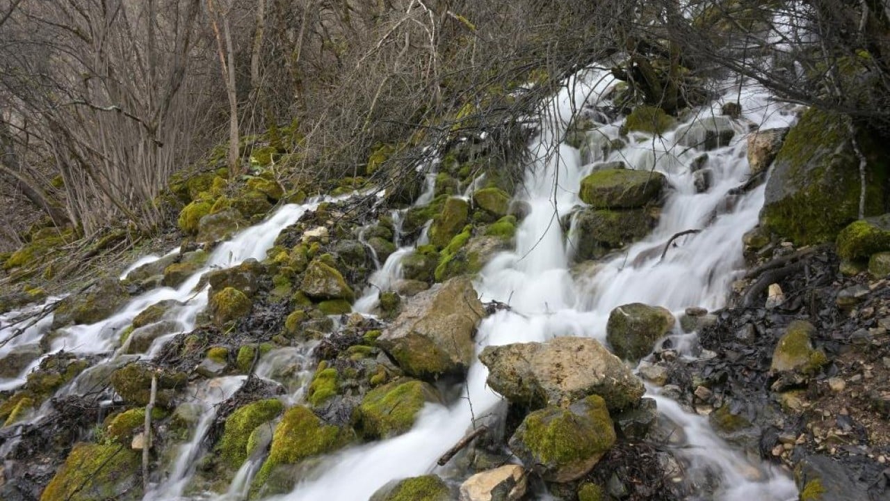 Foto - Belediye çeşmesi gibi bir akıyor bir kesiliyor