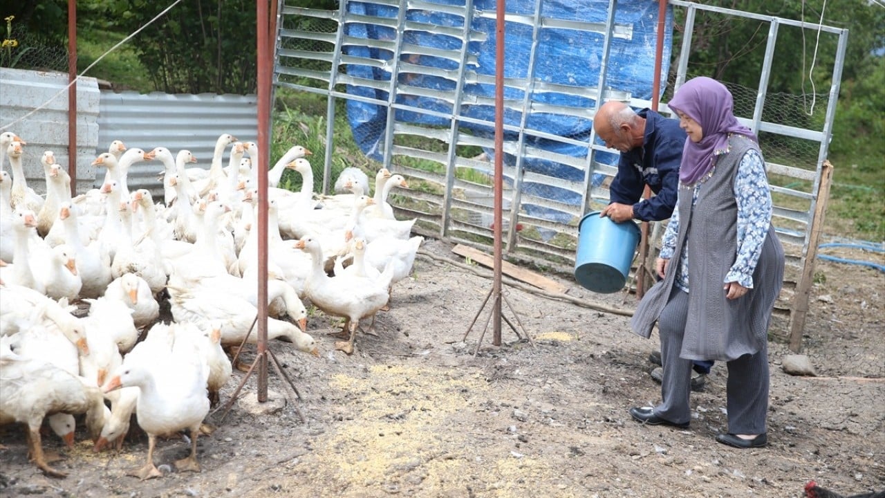 Foto - Belediye destek verdi! Kendi işlerinin patronu oldular