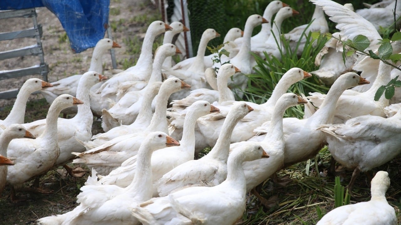 Foto - Belediye destek verdi! Kendi işlerinin patronu oldular