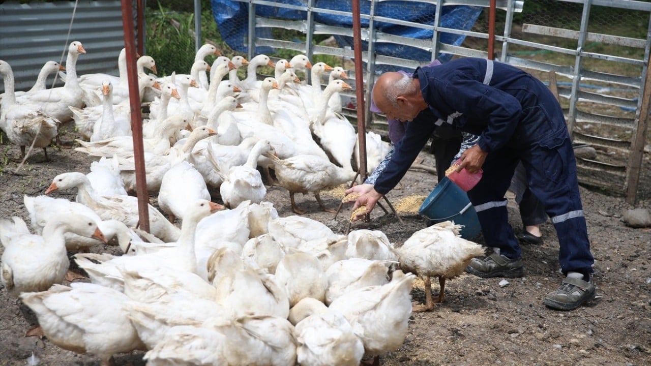 Foto - Belediye destek verdi! Kendi işlerinin patronu oldular