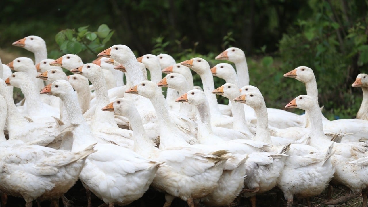 Foto - Belediye destek verdi! Kendi işlerinin patronu oldular