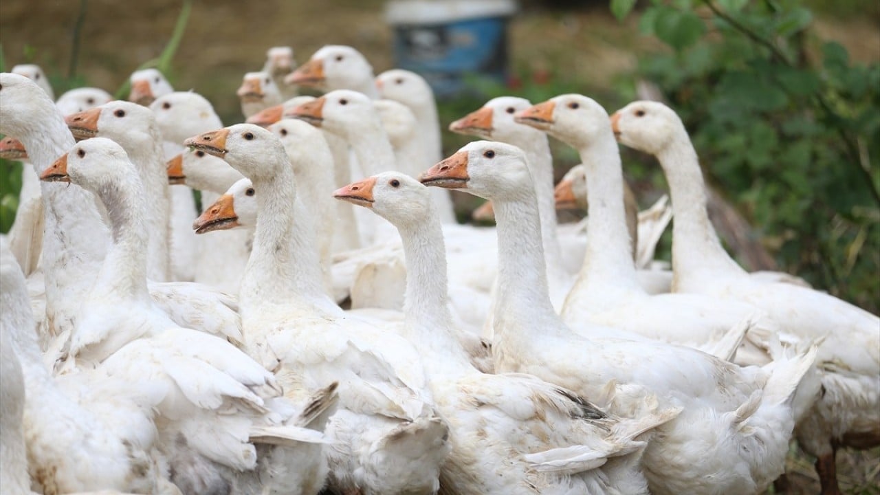 Foto - Belediye destek verdi! Kendi işlerinin patronu oldular