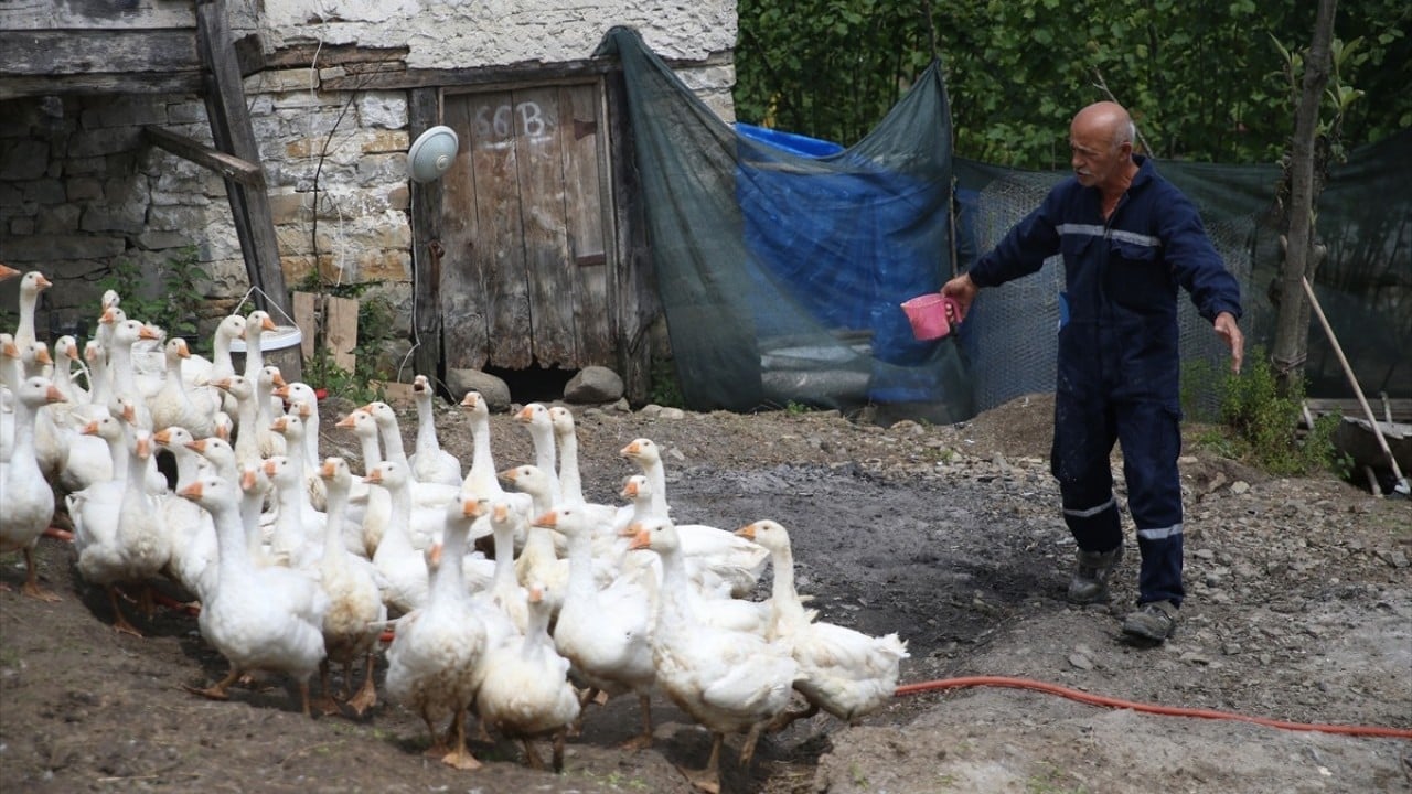 Foto - Belediye destek verdi! Kendi işlerinin patronu oldular
