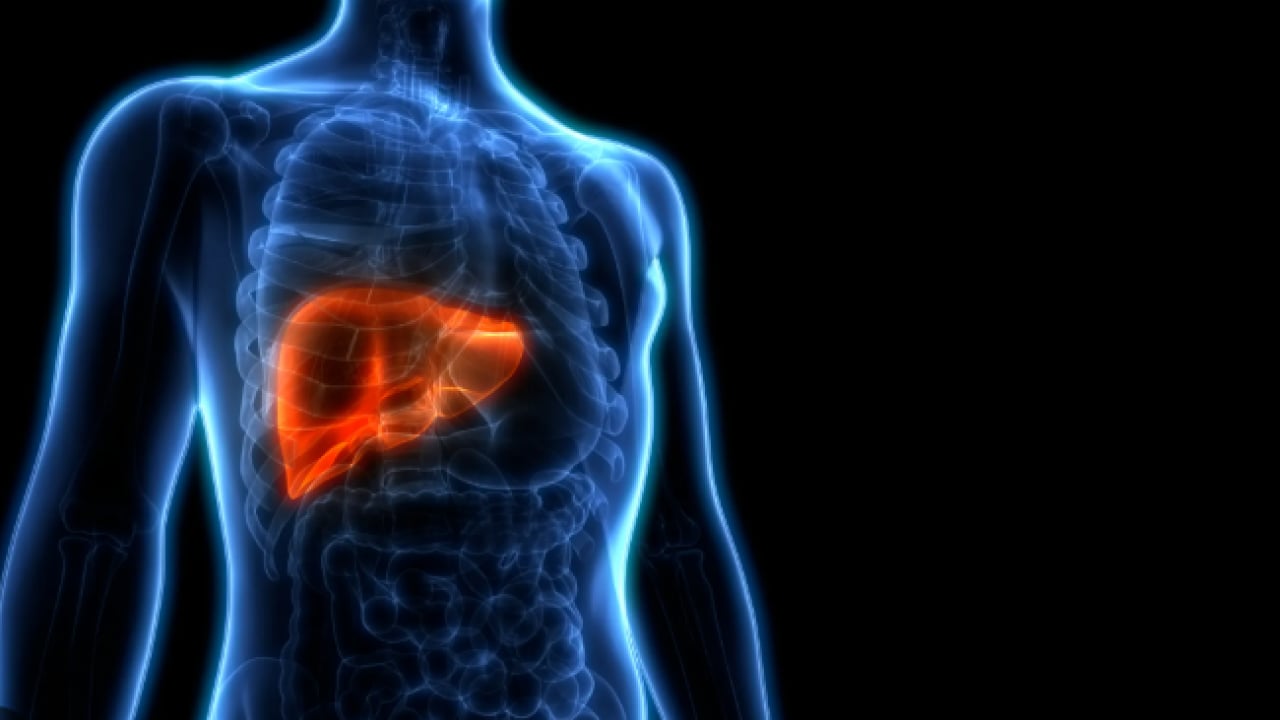 Foto - Beli bu sınırda olanlar dikkat: Karaciğeriniz iflas edebilir!