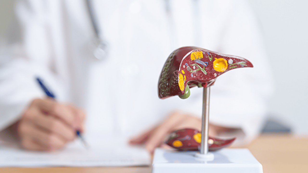 Foto - Beli bu sınırda olanlar dikkat: Karaciğeriniz iflas edebilir!