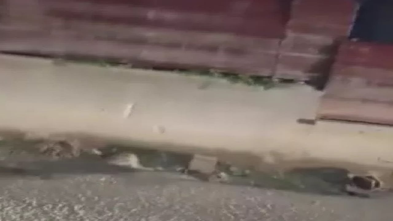 Foto - "Benim firmam zengin, cezamızı öderiz" demişti! Tüm Türkiye’nin konuştuğu pişkin için şimdi hesap vakti