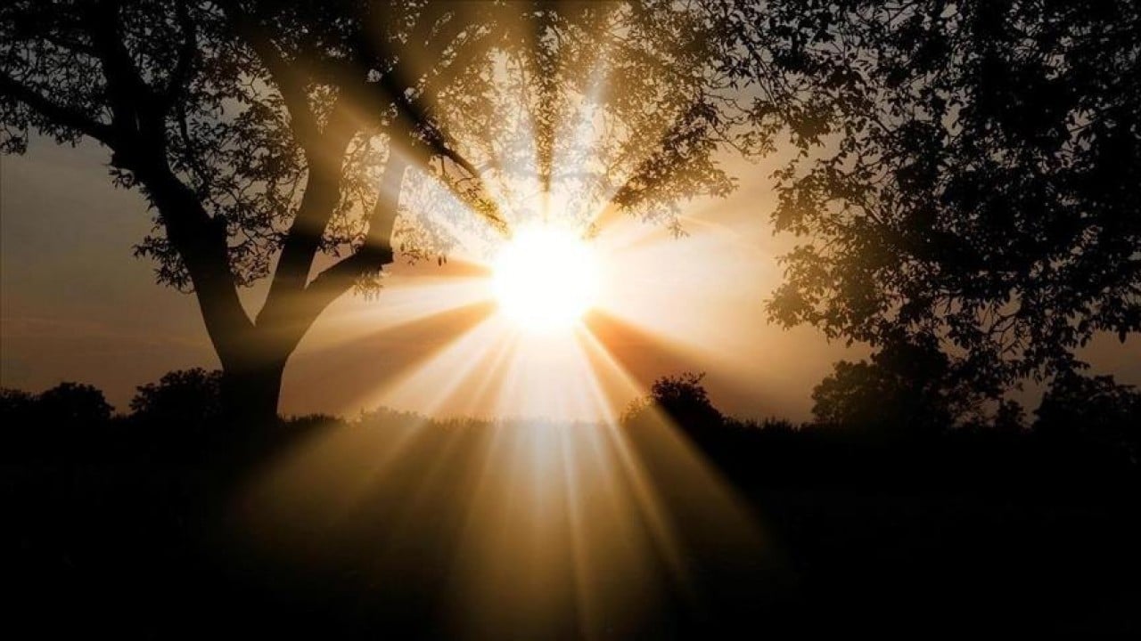 Benzerine az rastlanıyor Mart 2026 tarihe geçti