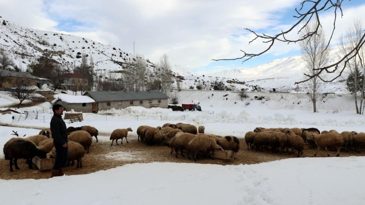 Foto - Besiciler uykusuz kuzular güvende
