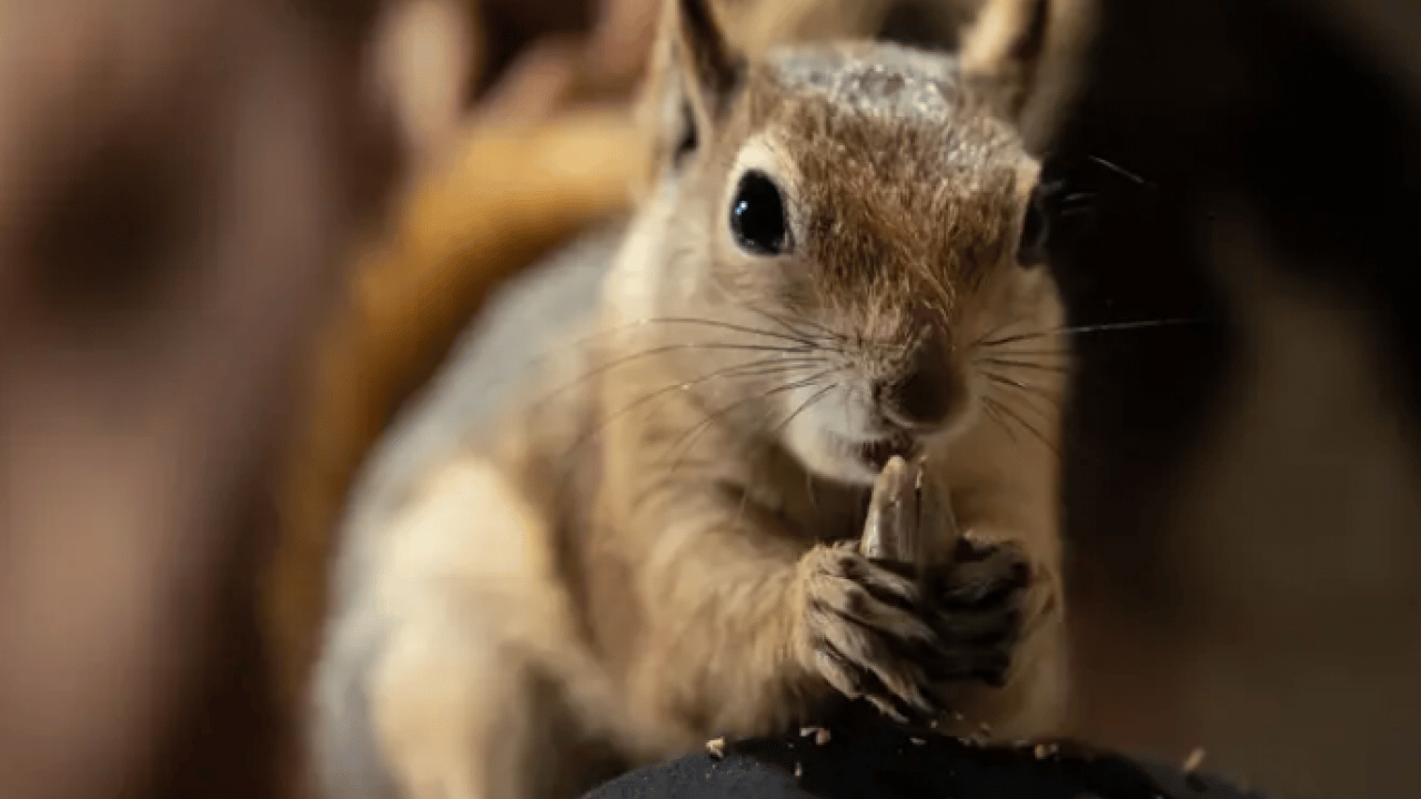 Foto - Beslenmeyi bile bilmiyordu! Şimdi pizza ve makarna yiyor