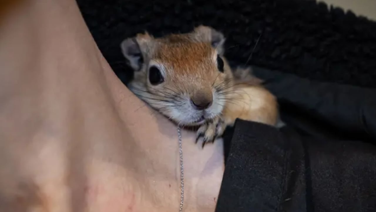 Foto - Beslenmeyi bile bilmiyordu! Şimdi pizza ve makarna yiyor