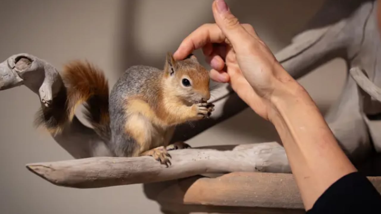 Foto - Beslenmeyi bile bilmiyordu! Şimdi pizza ve makarna yiyor