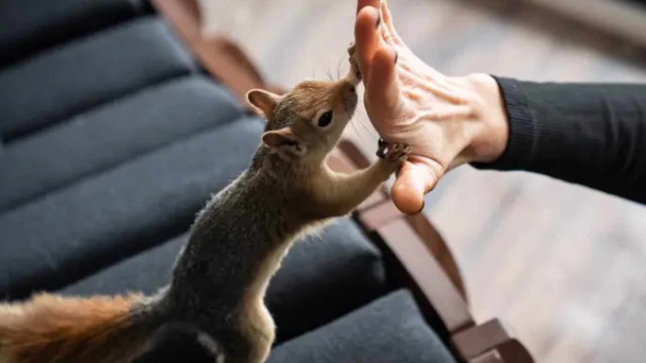 Foto - Beslenmeyi bile bilmiyordu! Şimdi pizza ve makarna yiyor