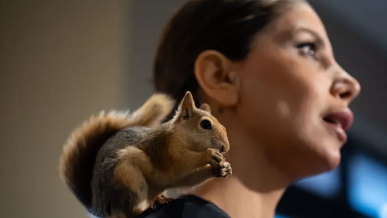 Foto - Beslenmeyi bile bilmiyordu! Şimdi pizza ve makarna yiyor