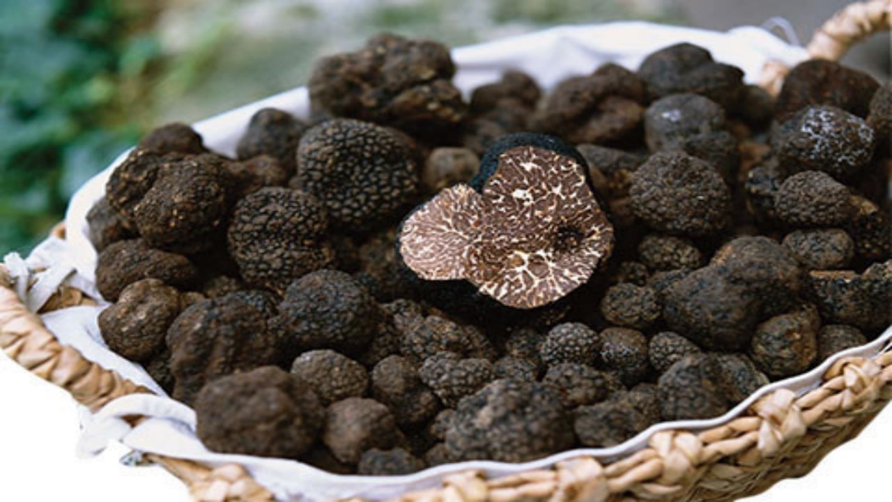 Foto - "Beyaz altın" olarak biliniyor! 12 milyon TL’lik mantarda Türkiye detayı