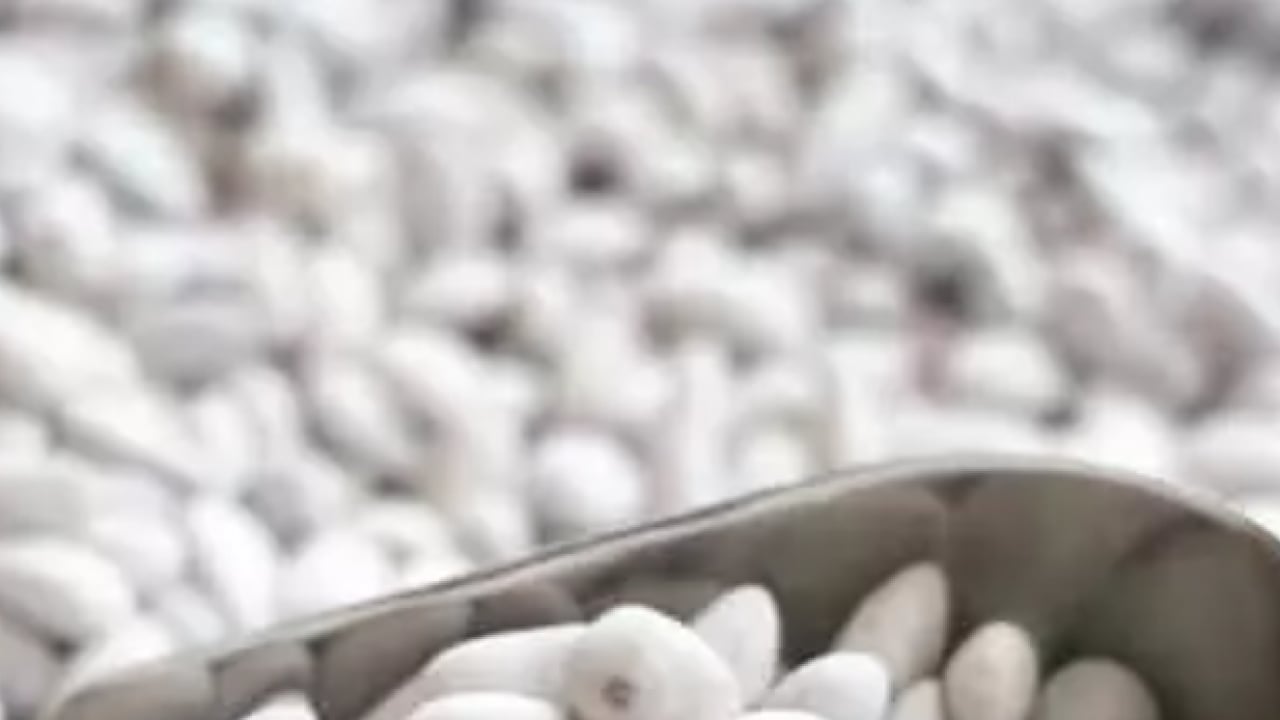 Foto - Beyaz altında talep patlaması! Fiyatını dudak uçuklattı!