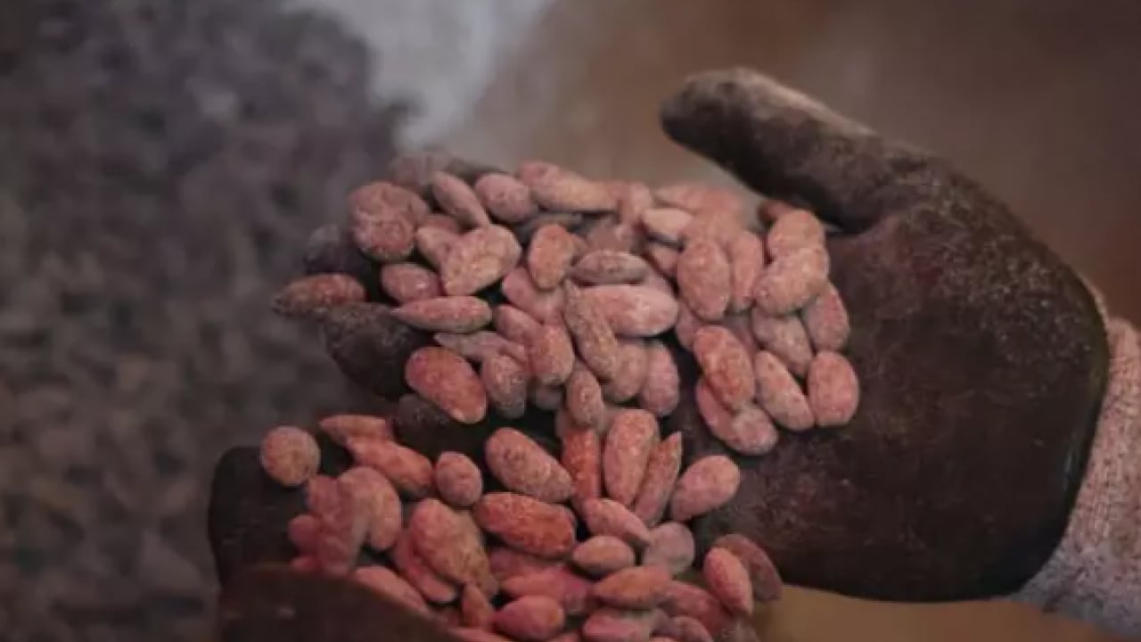 Foto - Beyaz altında talep patlaması! Fiyatını dudak uçuklattı!