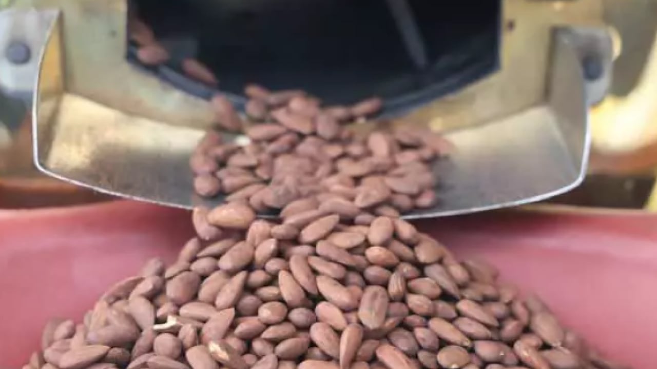 Foto - Beyaz altında talep patlaması! Fiyatını dudak uçuklattı!