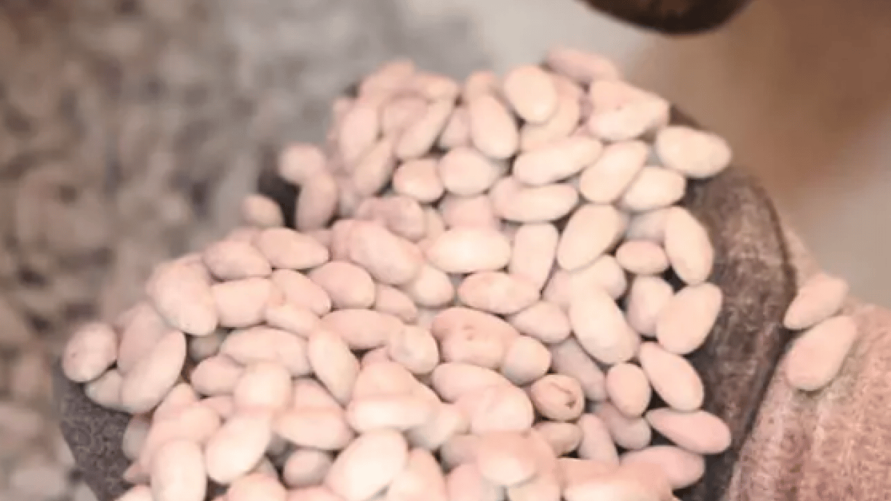 Foto - Beyaz altında talep patlaması! Fiyatını dudak uçuklattı!