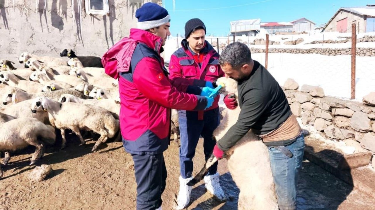 Beyaz esaret içinde hayata dokunan eller