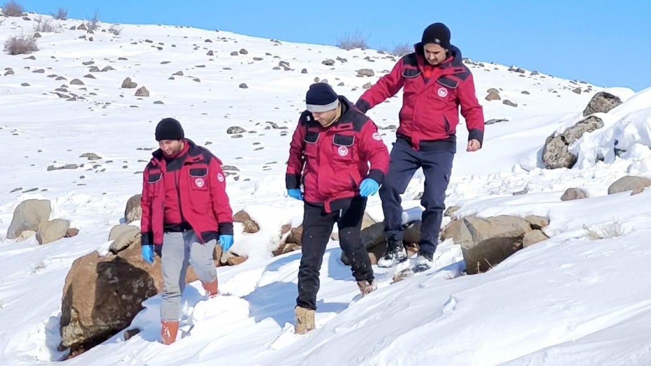 Foto - Beyaz esaret içinde hayata dokunan eller