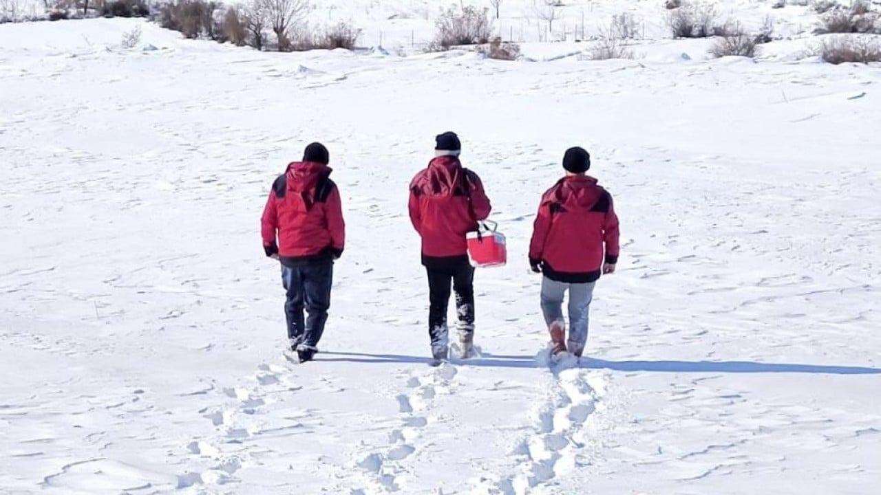 Foto - Beyaz esaret içinde hayata dokunan eller