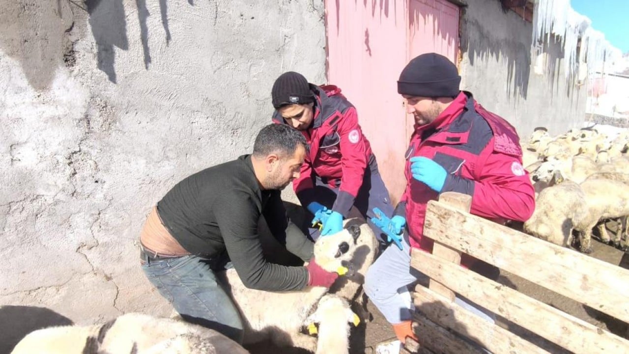 Foto - Beyaz esaret içinde hayata dokunan eller